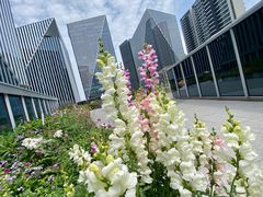 -凤凰湘语·湘粤鲜融(浦东旗舰店)