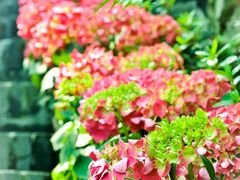 -亦缘居私家别院