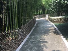 -陈家山荷花公园