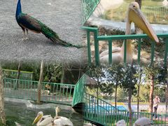 -水上乐园·欢乐世界