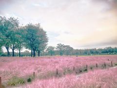 -汉长安城未央宫国家考古遗址公园