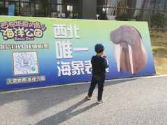 -华夏文旅海洋公园