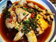 -雀舞云南菜(乐客城店)