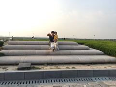 -南汇嘴观海公园