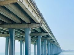 -宝安西湾红树林湿地公园