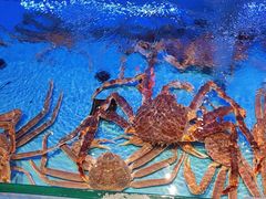 -阿伟海鲜楼·福建菜(延寿店)
