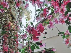 -深圳国际园林花卉博览园