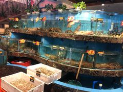 -琼菜王(南海店)