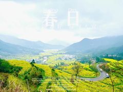 -婺源风景区