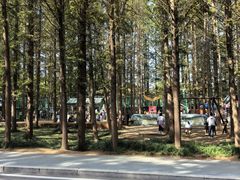 -日照海滨国家森林公园