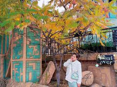 -哈尔滨文化公园