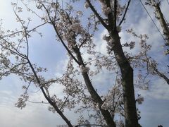 -南京市溧水区傅家边梅花山弄山庄