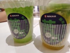 苦瓜青梅茶-炖物24章·顺时轻养茶(杭州大厦店)