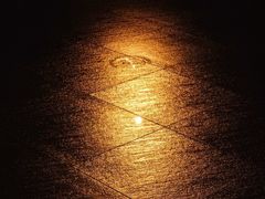 -隐溪茶馆(静安寺店)