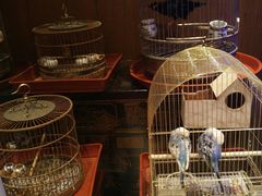 -老江南春·中国龙菜(衡山路店)