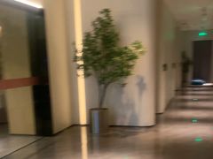 -神帆·元气汤泉(解放西路店)