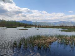 -野鸭湖国家湿地公园
