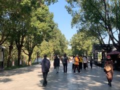 -溱湖国家湿地公园