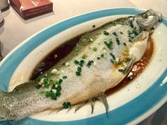-顺鹅季·非遗烧鹅(六道口店)