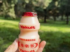 -天坛公园