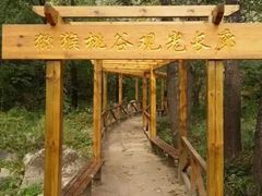 -大岭沟猕猴桃谷风景区