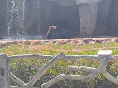 -海南热带野生动植物园