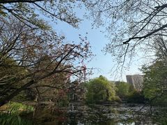 -北海道厅旧本厅舍(旧本庁舎)