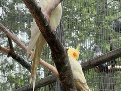 -上海动物园(地铁站)