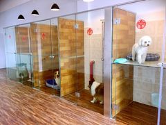 狗狗寄养区-奶牛家宠物酒店(嘉宏云顶店)