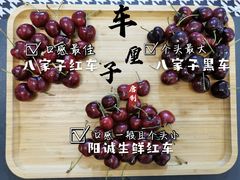 -沈阳市八家子水果批发市场