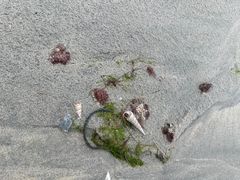 -万尾金滩