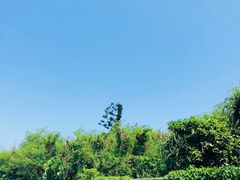 -鹅銮鼻公园