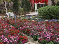 -广东花都香草世界旅游度假区