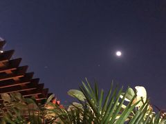 -广州柏悦酒店·悦吧·顶楼露天酒吧