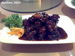 糖醋排骨-新南华大酒店(广中店)