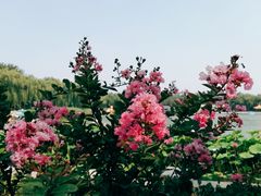 -陶然亭公园