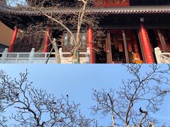 -灵谷景区