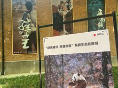 -西安电影制片厂