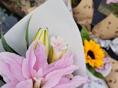 -青州府·青州菜