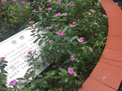 -广州神农草堂中医药博物馆