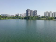 -广东花都湖国家湿地公园
