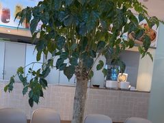 -眉州小吃(石景山店)