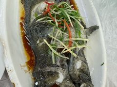 -众味海鲜大排档·活海鲜·潮汕味(南澳店)