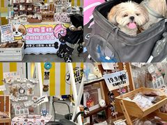 -首开·龙湖成都西宸天街