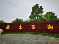 -径山花海