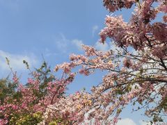-风云岭森林公园