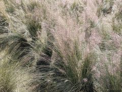 -艾溪湖湿地公园