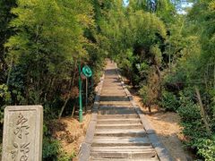 -长沙黑麋峰国家森林公园