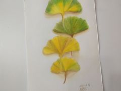 -八哥美术·成人美术画室(总校区)
