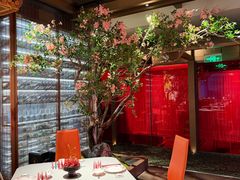 -星·South Beauty·俏江南(国贸店)